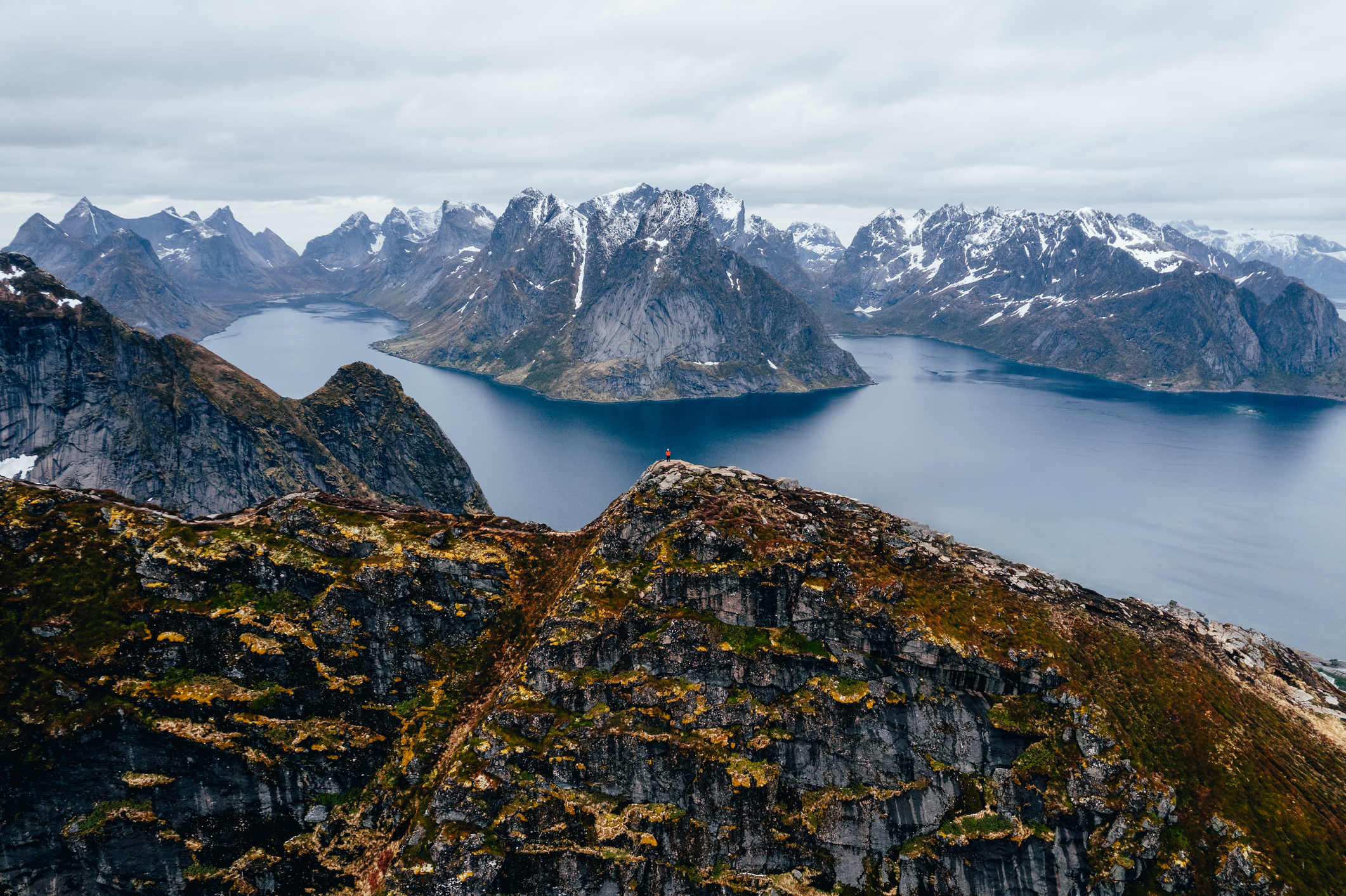 Man standing at the top of Reinebringen in Lofoten