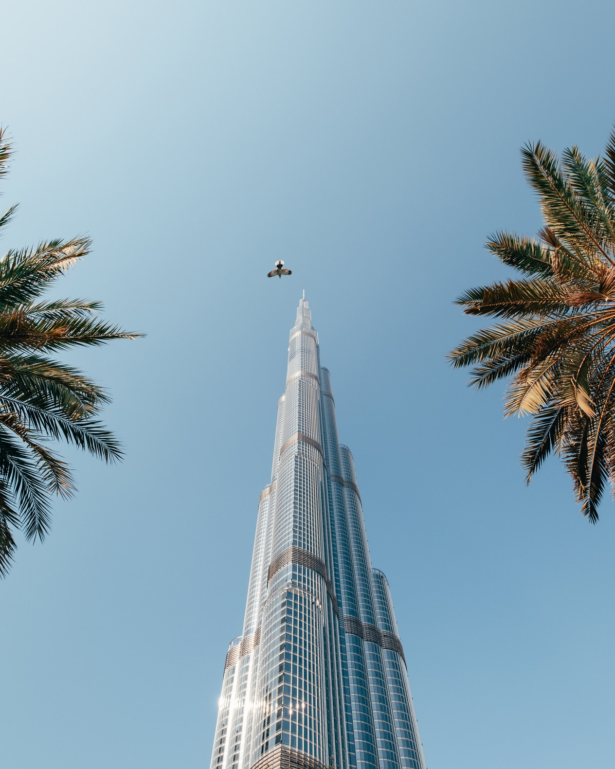 Bird flying towards the Burj Khalifa